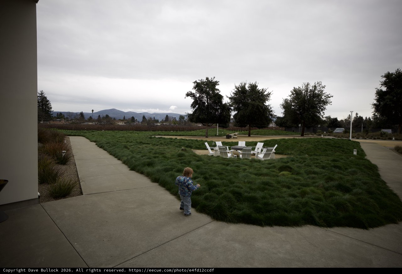 Toddler Explores Park Grounds on Overcast Evening
