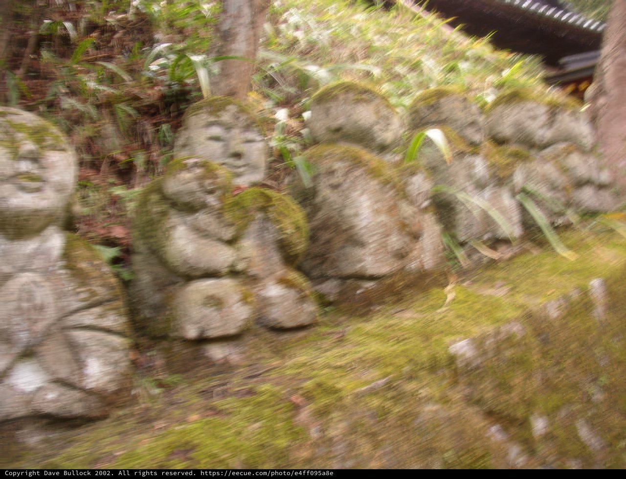 Stone Sentinels of the Forest