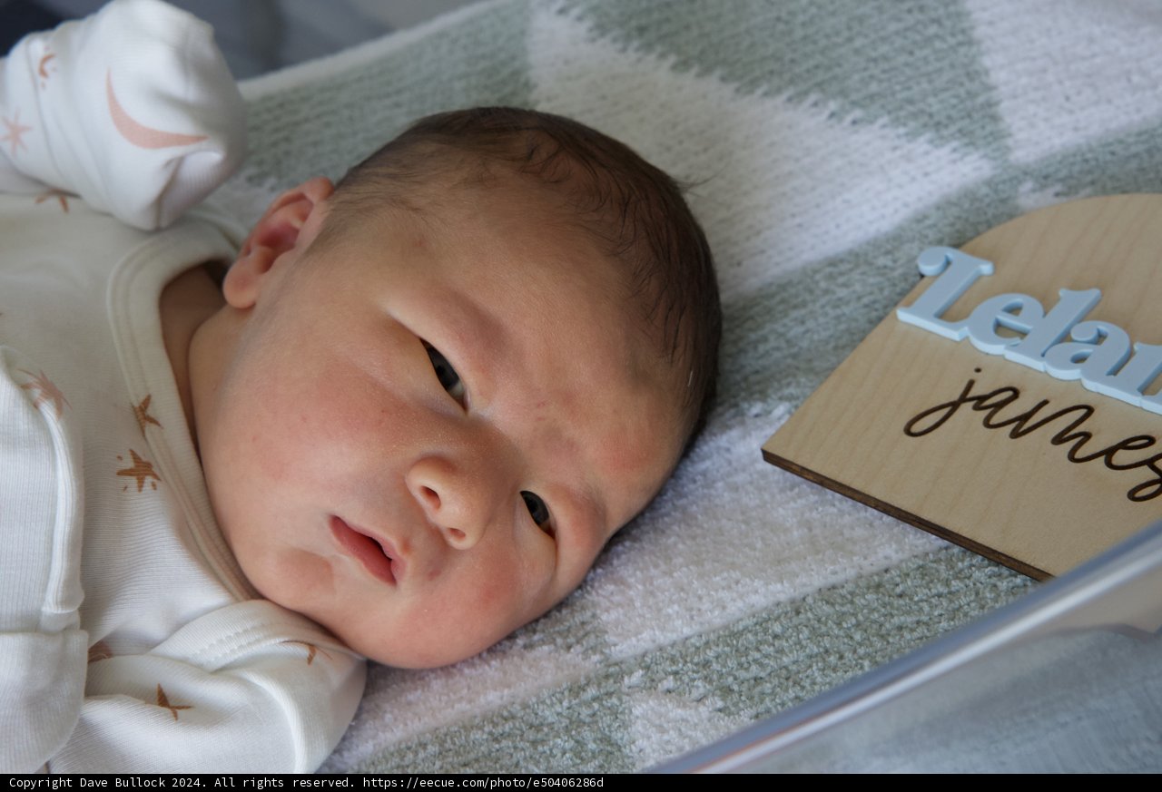 Welcome to the World, Leland James