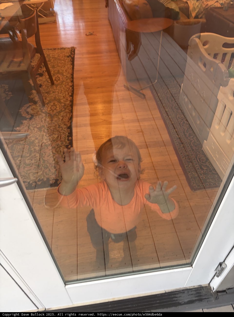 Through the Looking Glass