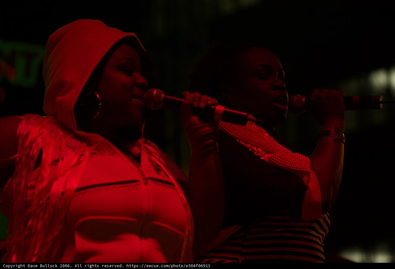 Entertainers Singing into Microphones at Night Club