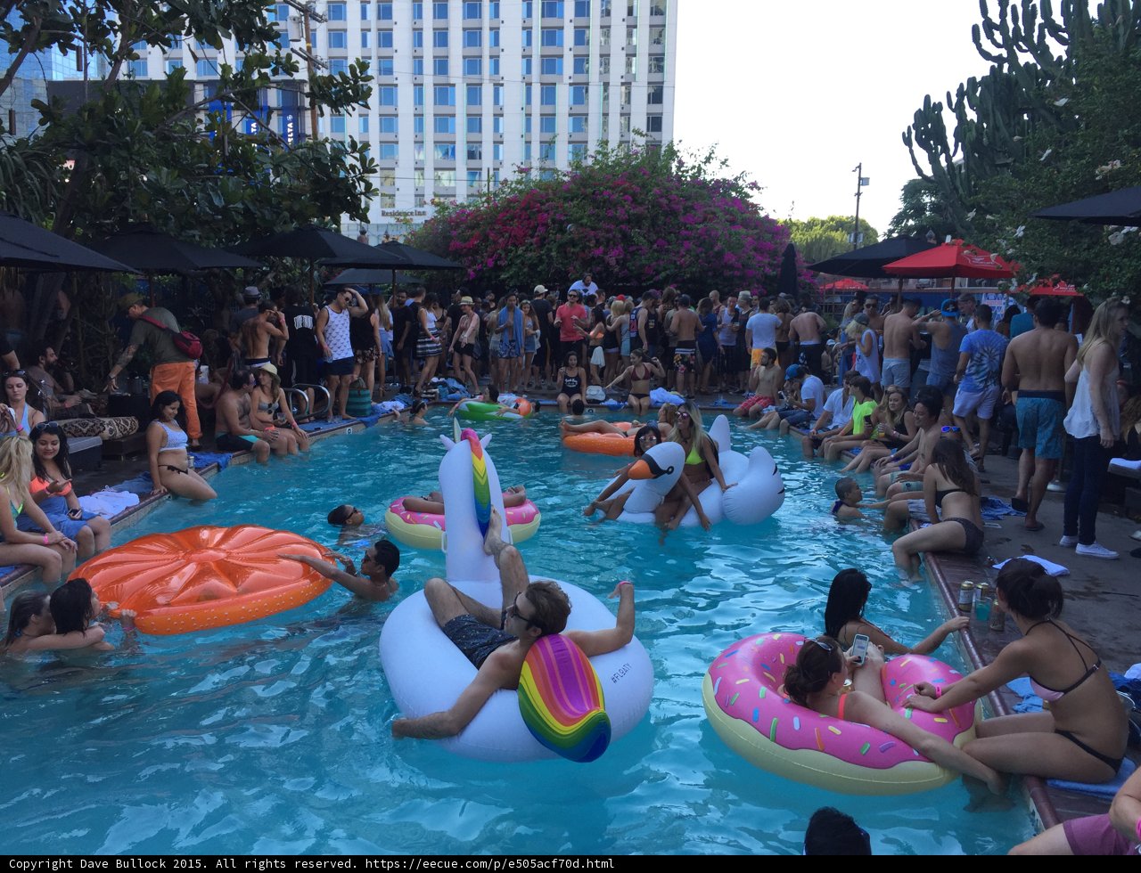 The Ultimate Pool Party