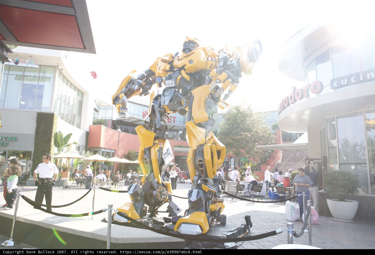 Robotic Guardian of the Mall