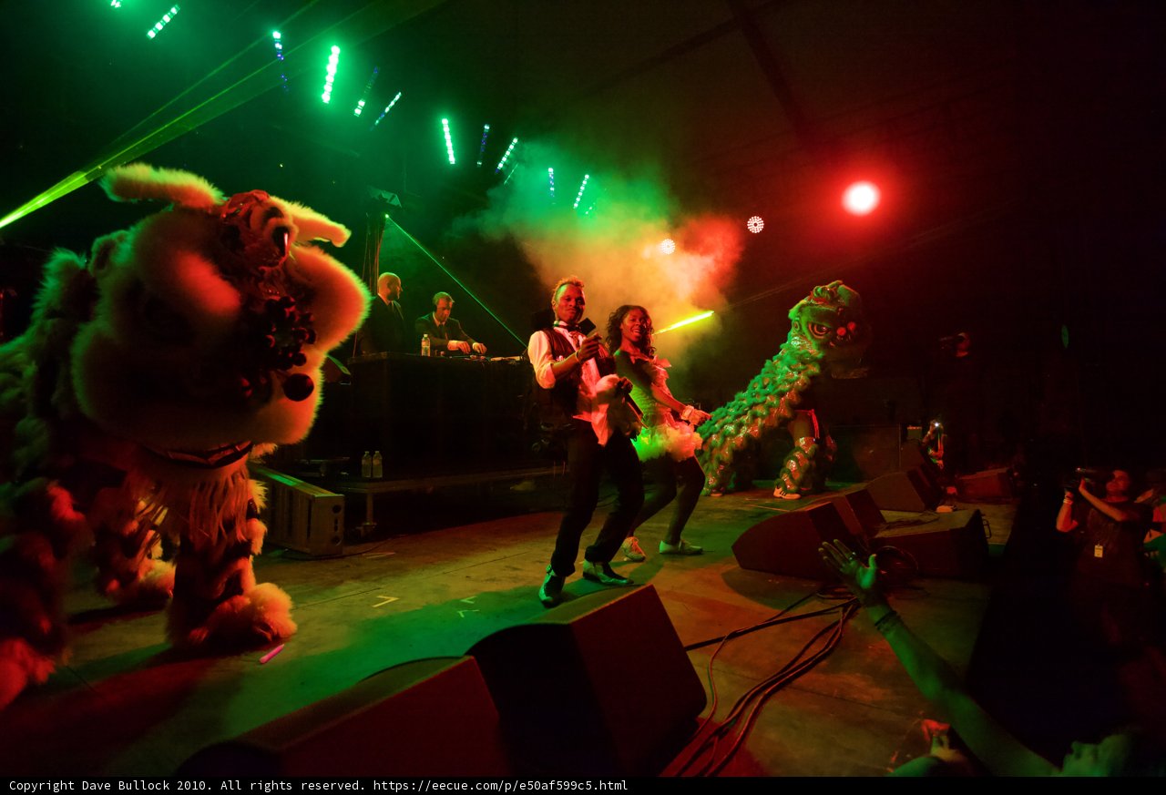 Wild Performances on Stage with Lion and Tiger