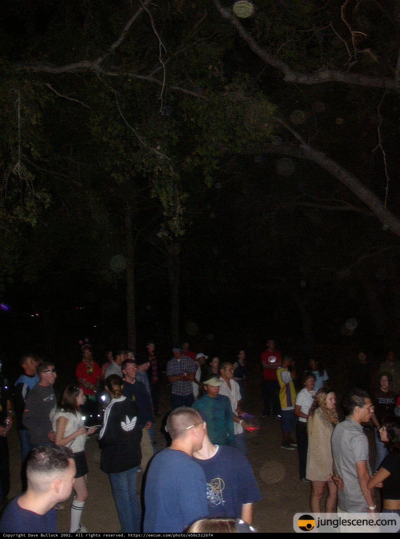 Nighttime Crowd