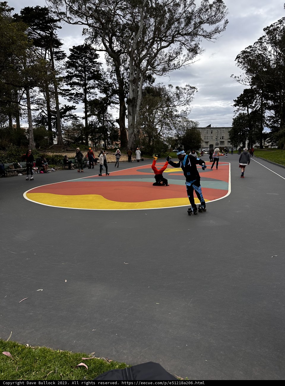 Skating on the Court