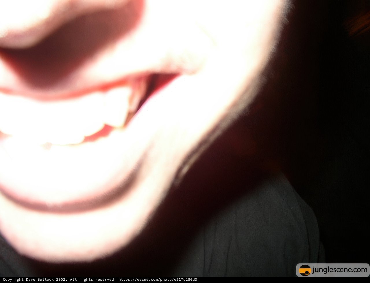 Happy Smile