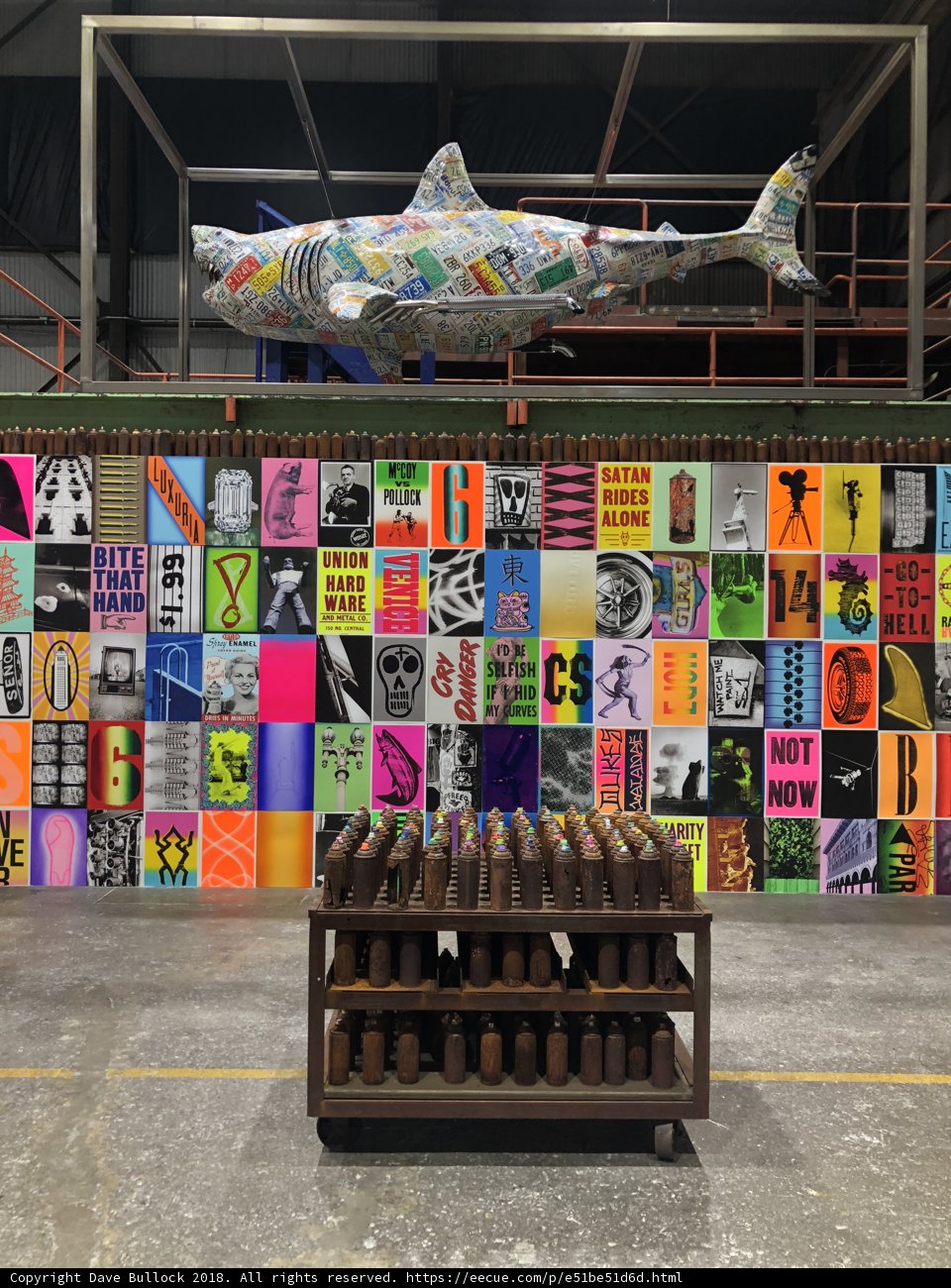 Shark Art Takes Over Warehouse