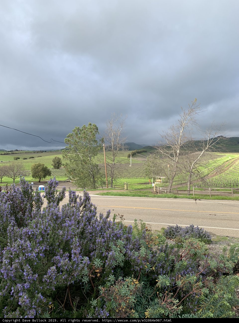 A Serene Drive Through Nature's Beauty