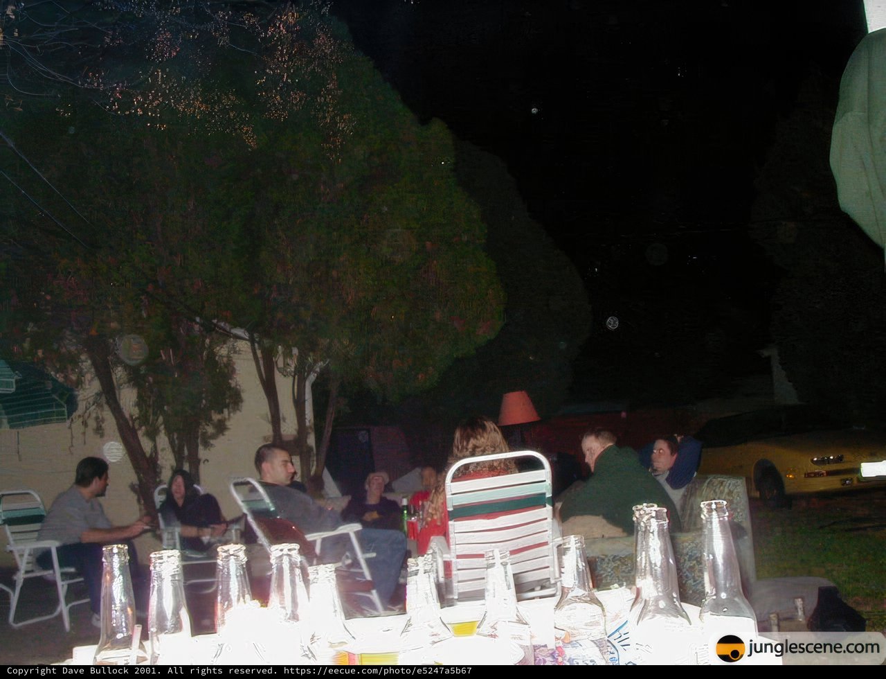 A Night Out with Friends