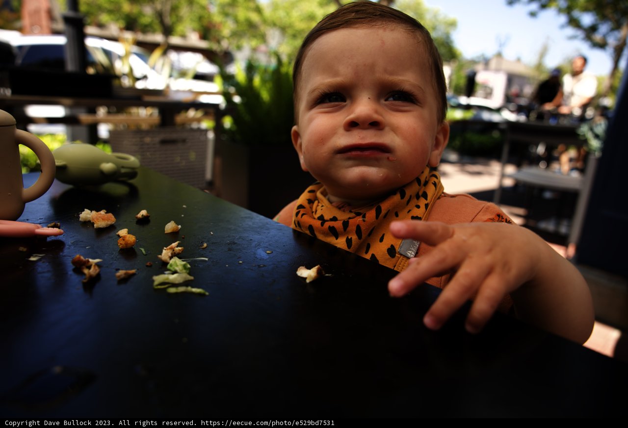 Wesley's Wholesome Lunch Adventure
