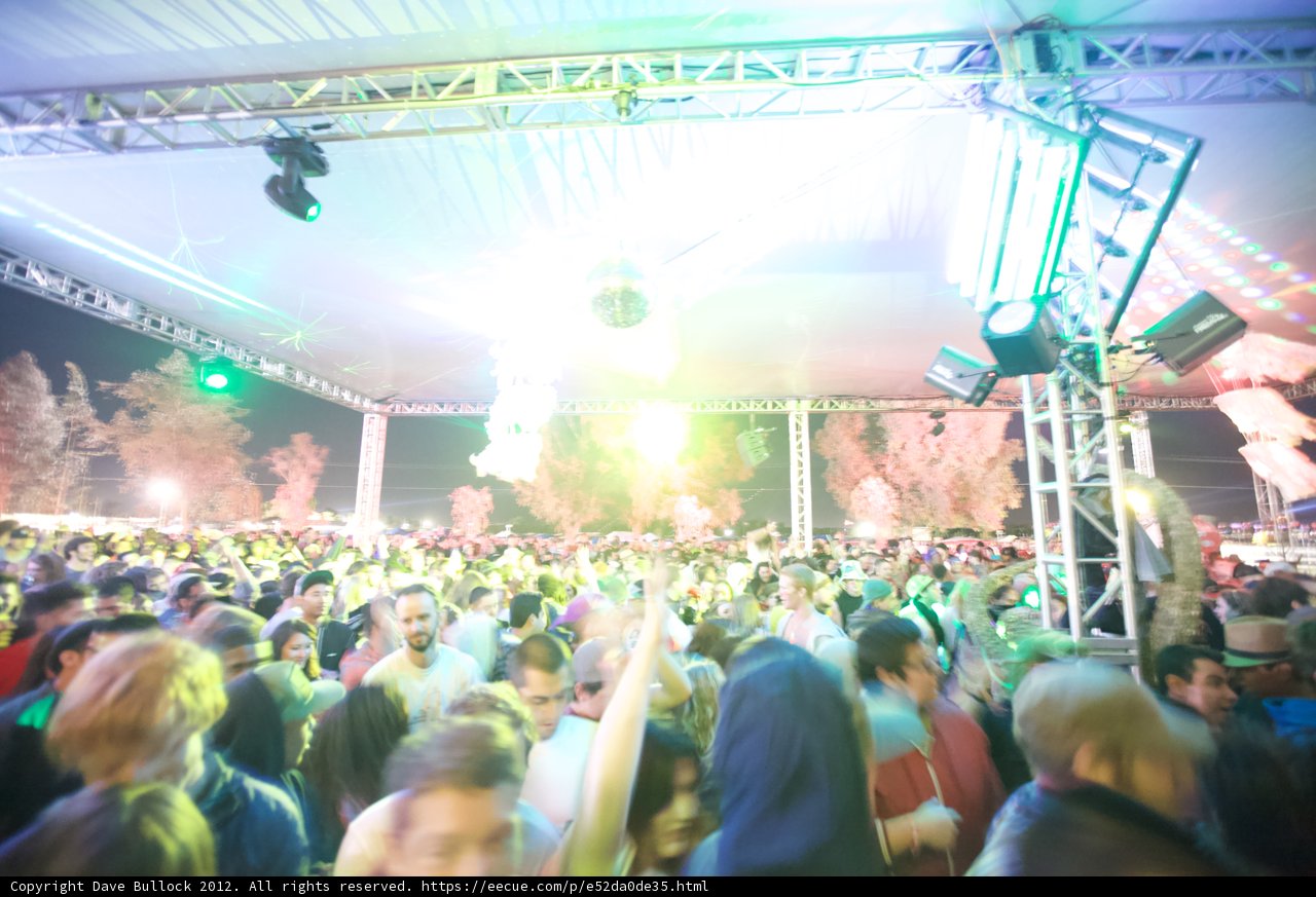 Electric Vibes at Coachella 2012