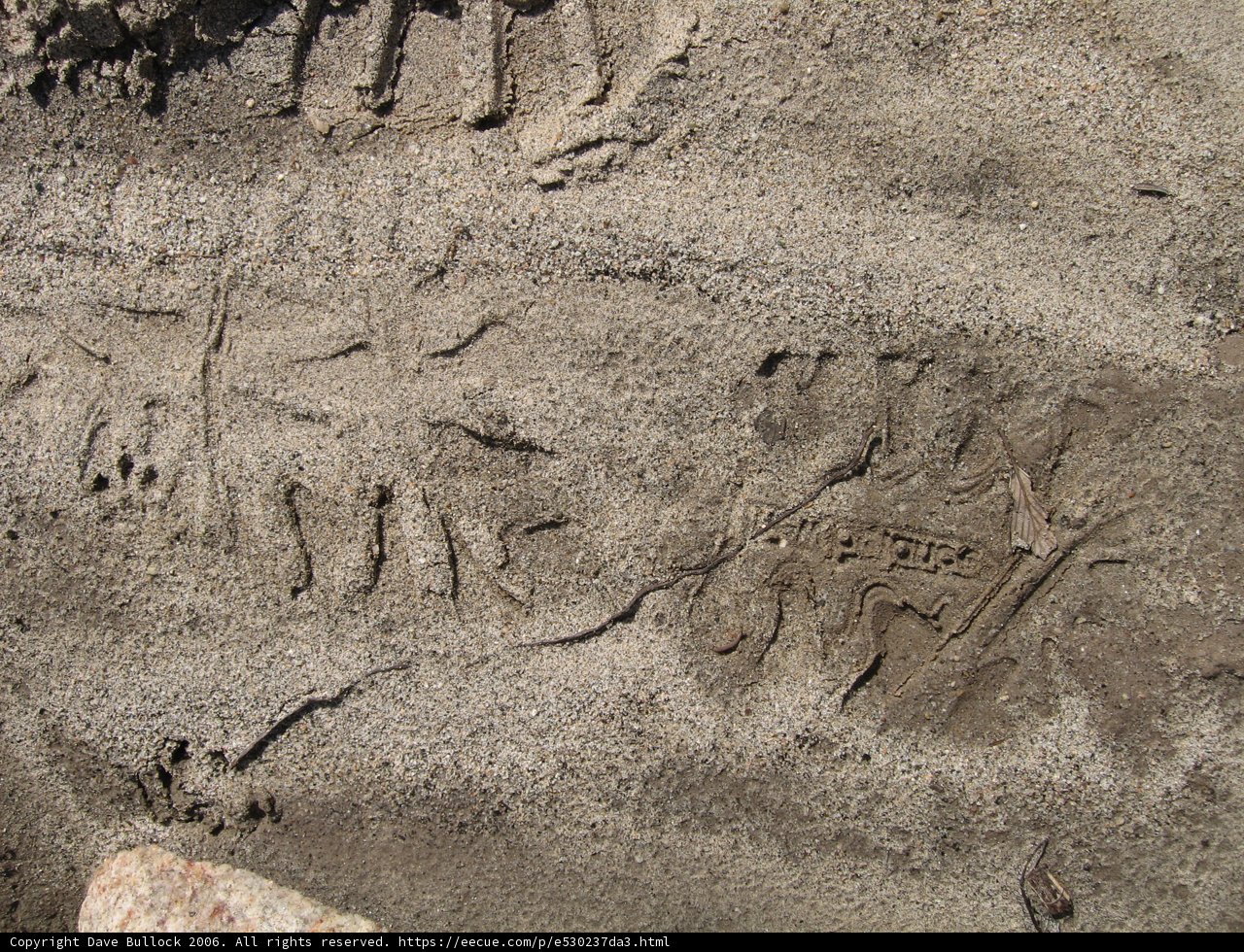 Imprints in Stone