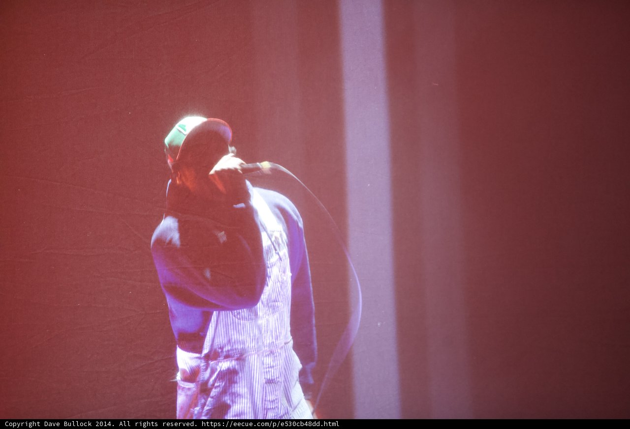 Solo Performance under the Coachella Lights