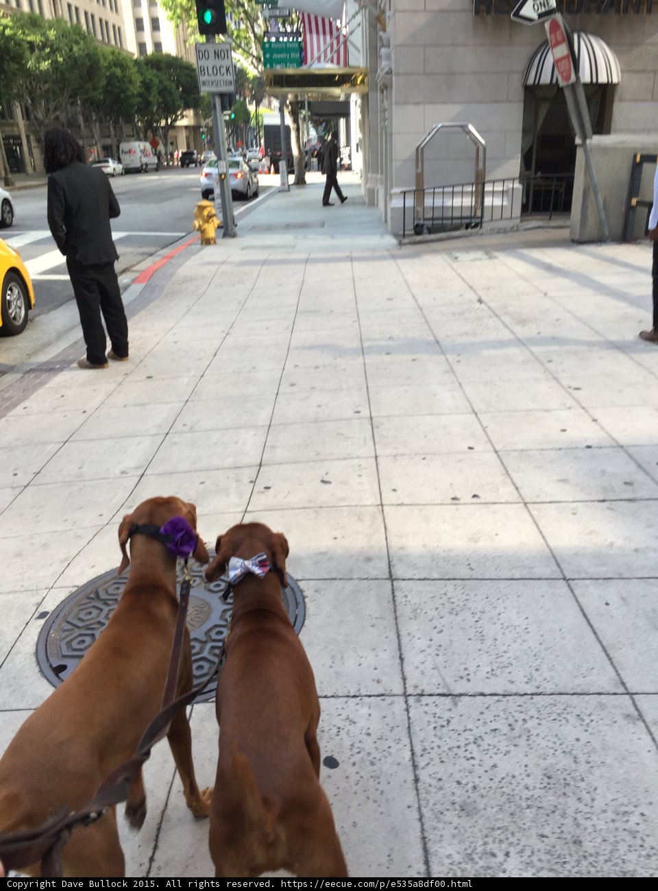 Sidewalk Pals