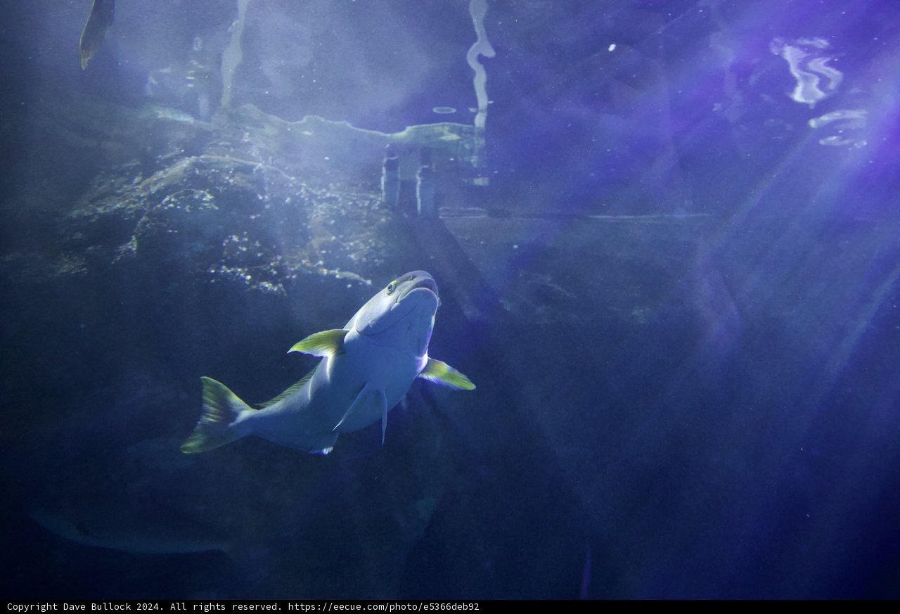 Sunlit Serenity in the Deep Blue