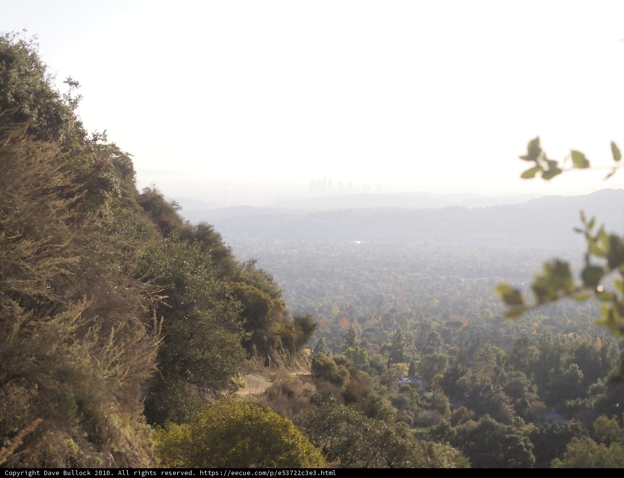 Overlooking the Hazy Cityscape
