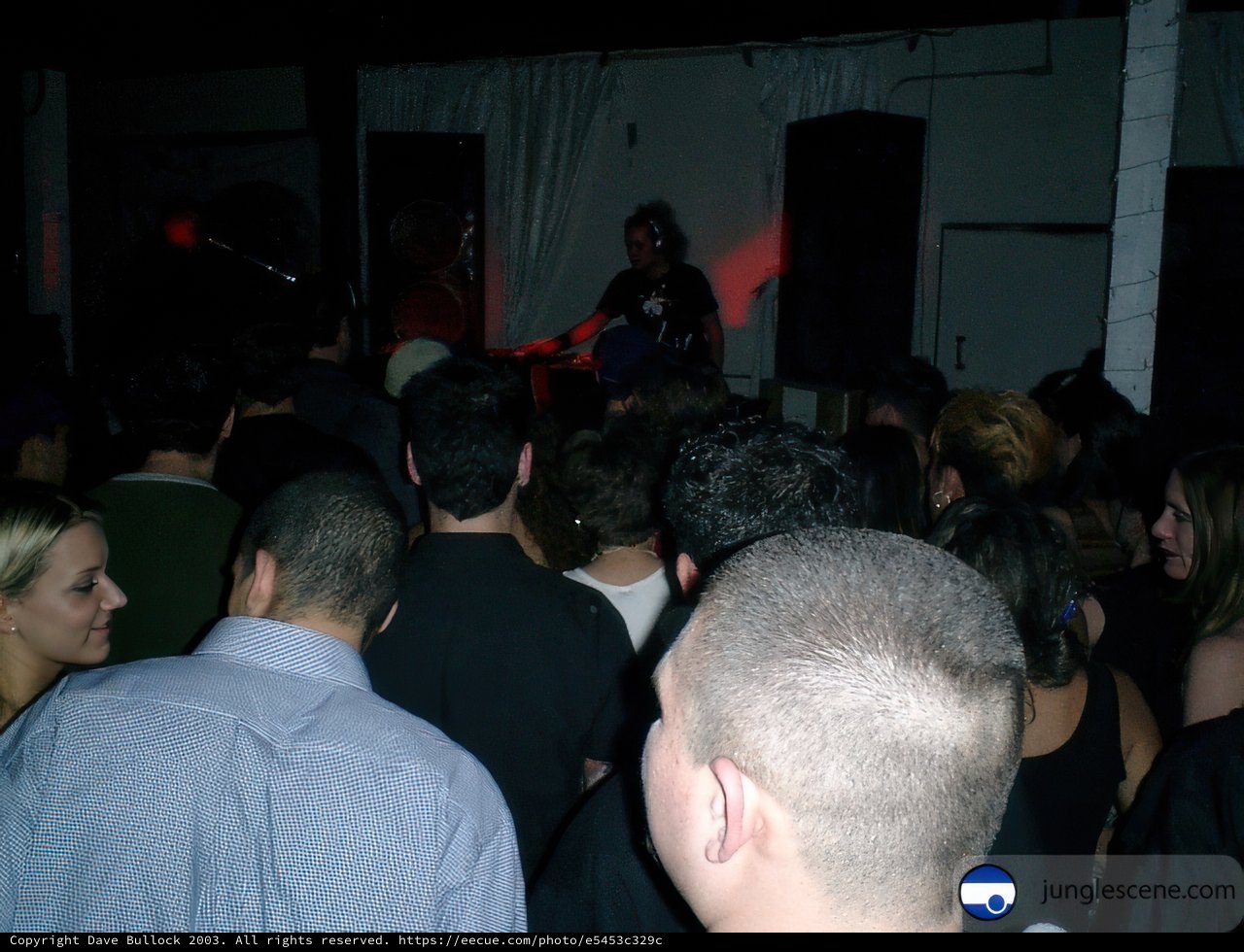 Nightclub Performance