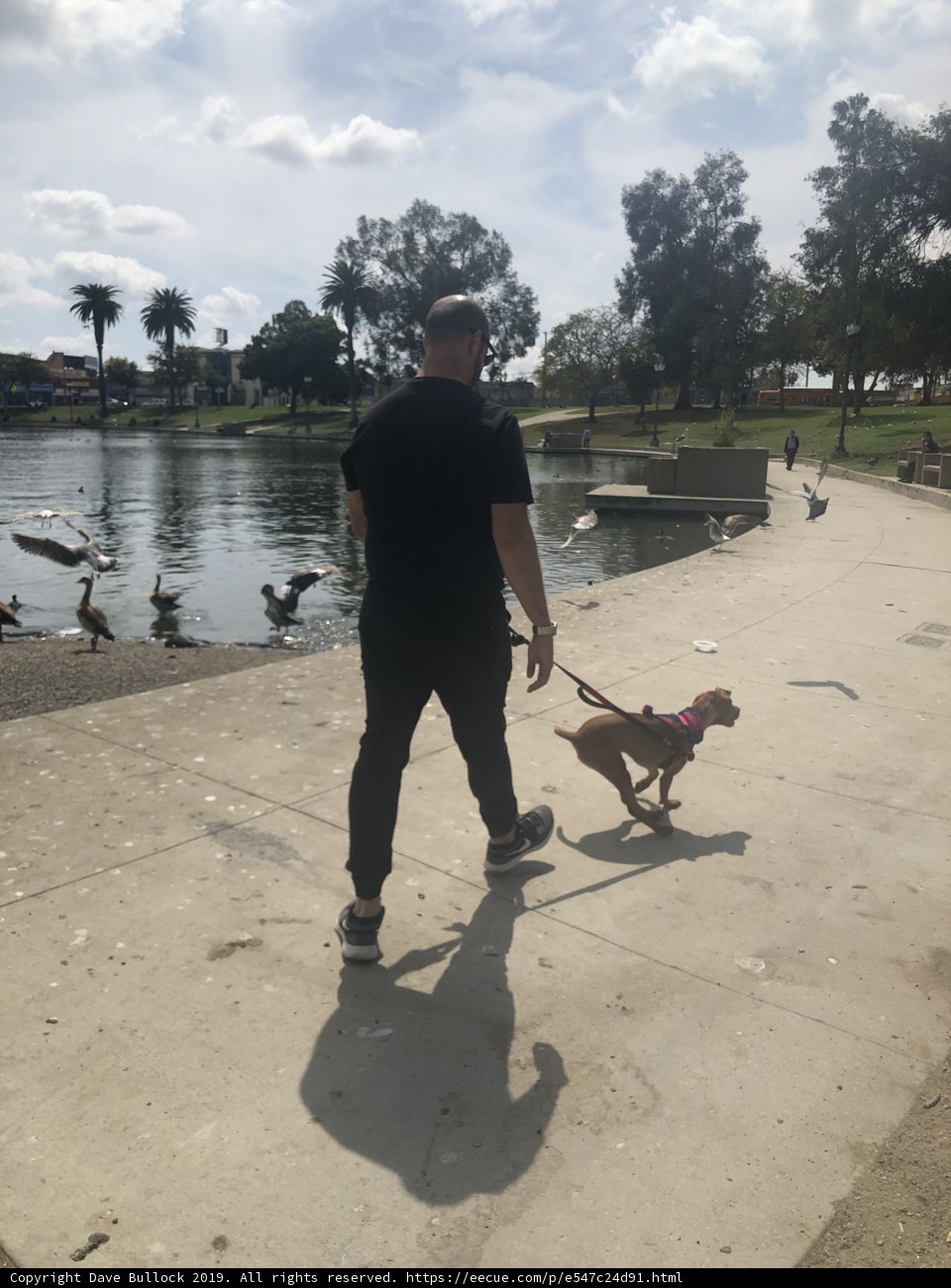 A Stroll with My Best Friend