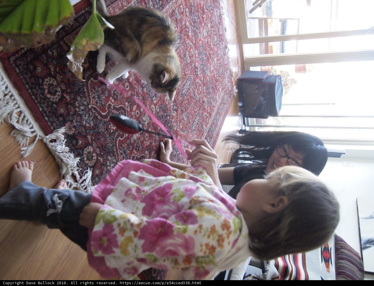 Playtime with Kitty