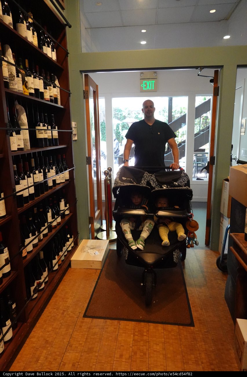 A Day Out in the Wine Cellar