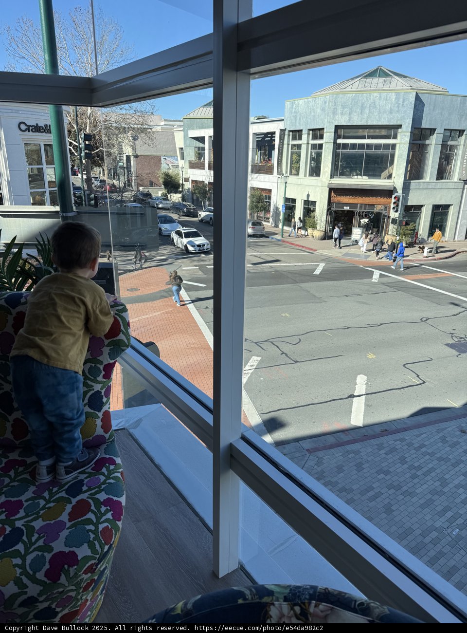 Cityscape Curiosity