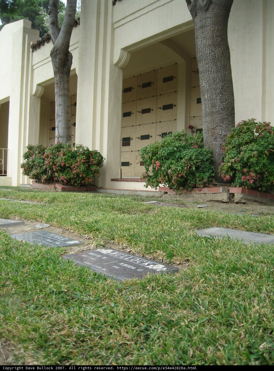 Grave Marker in a Serene Outdoor Cemetery