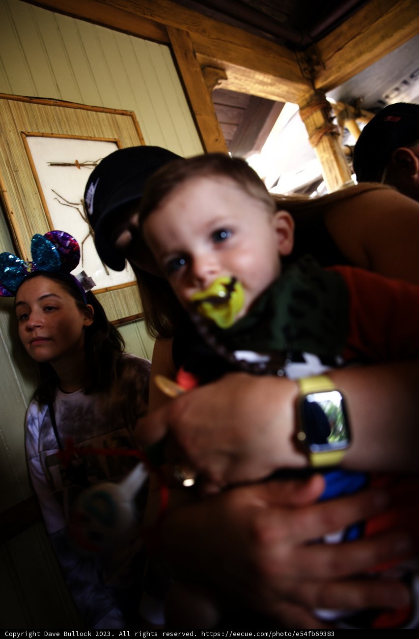 Disneyland Family Adventures