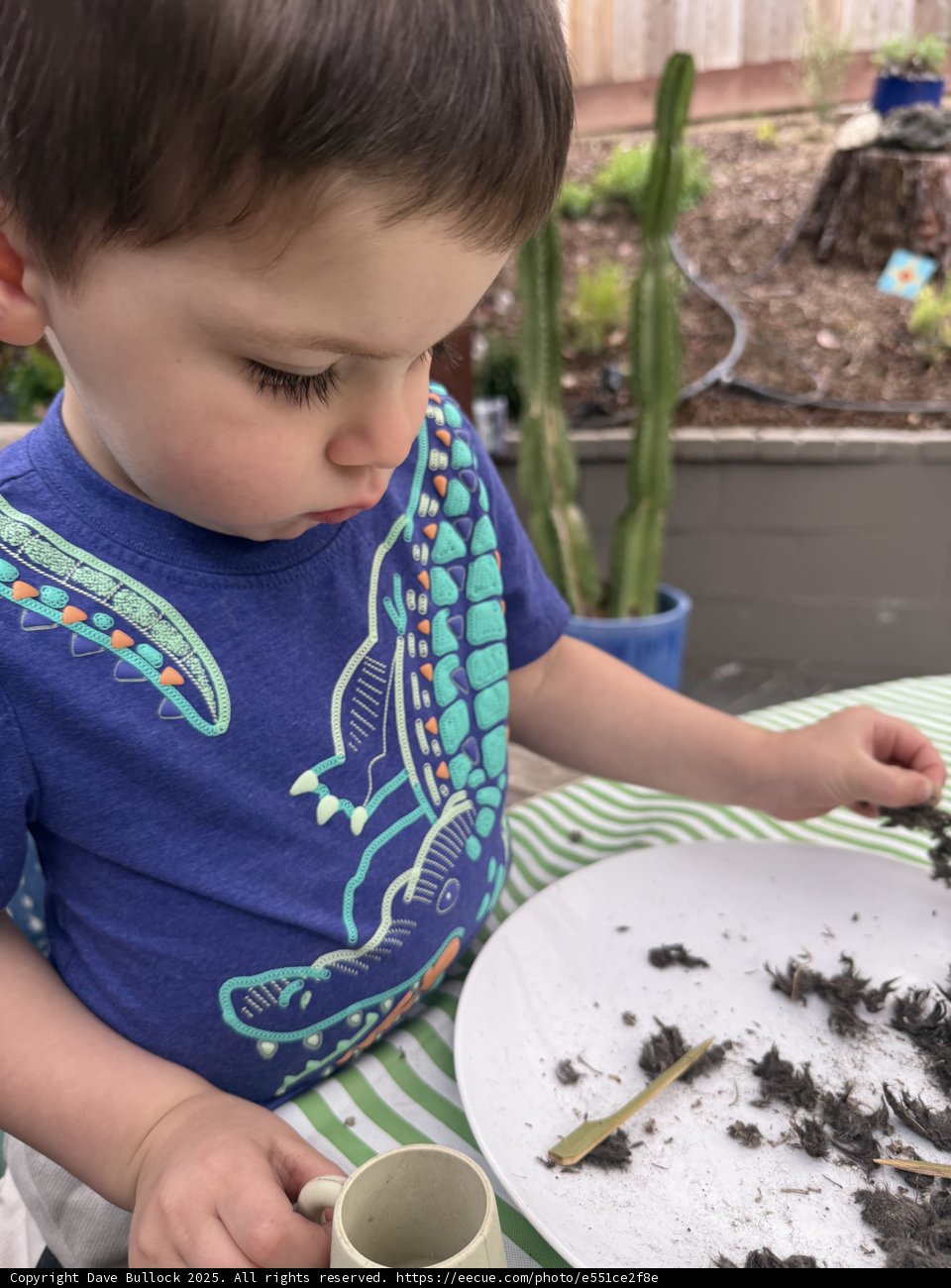 Garden Explorer in Action
