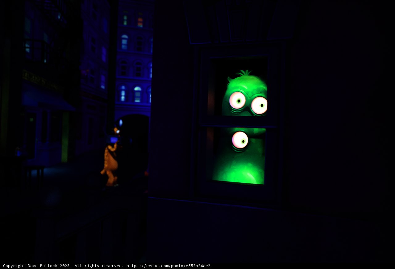 The Window Watcher