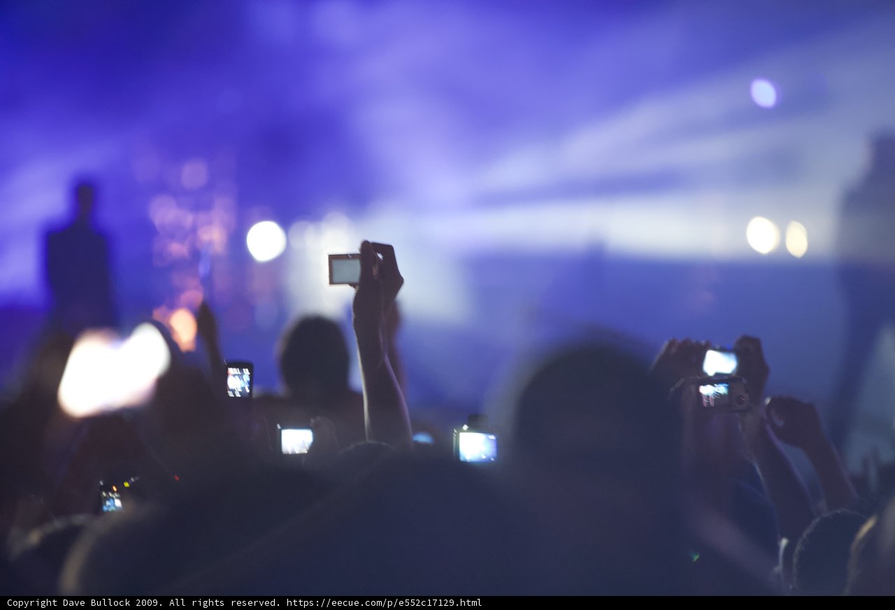 Phone Lights and Music Nights