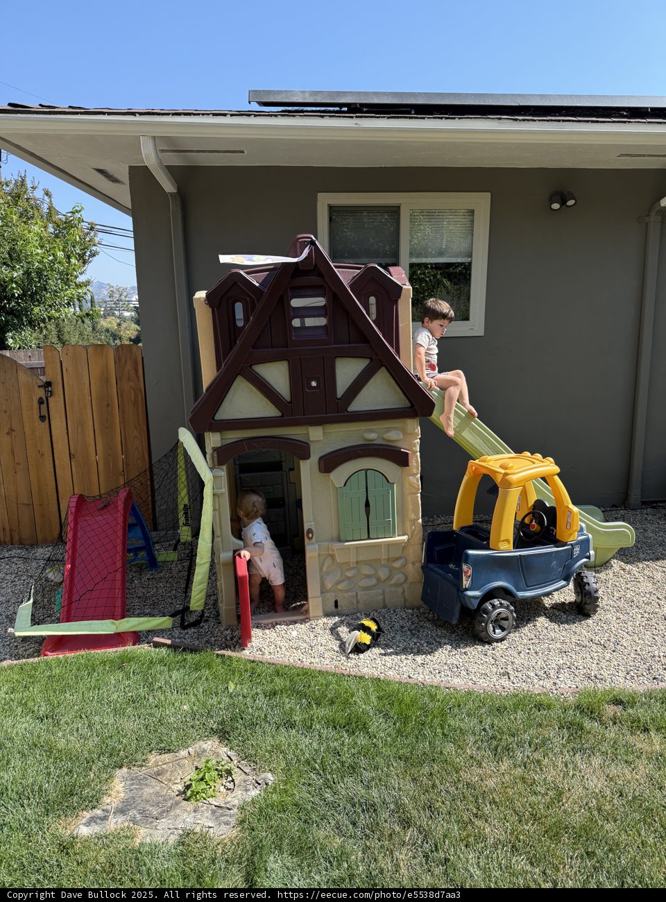 Backyard Adventure