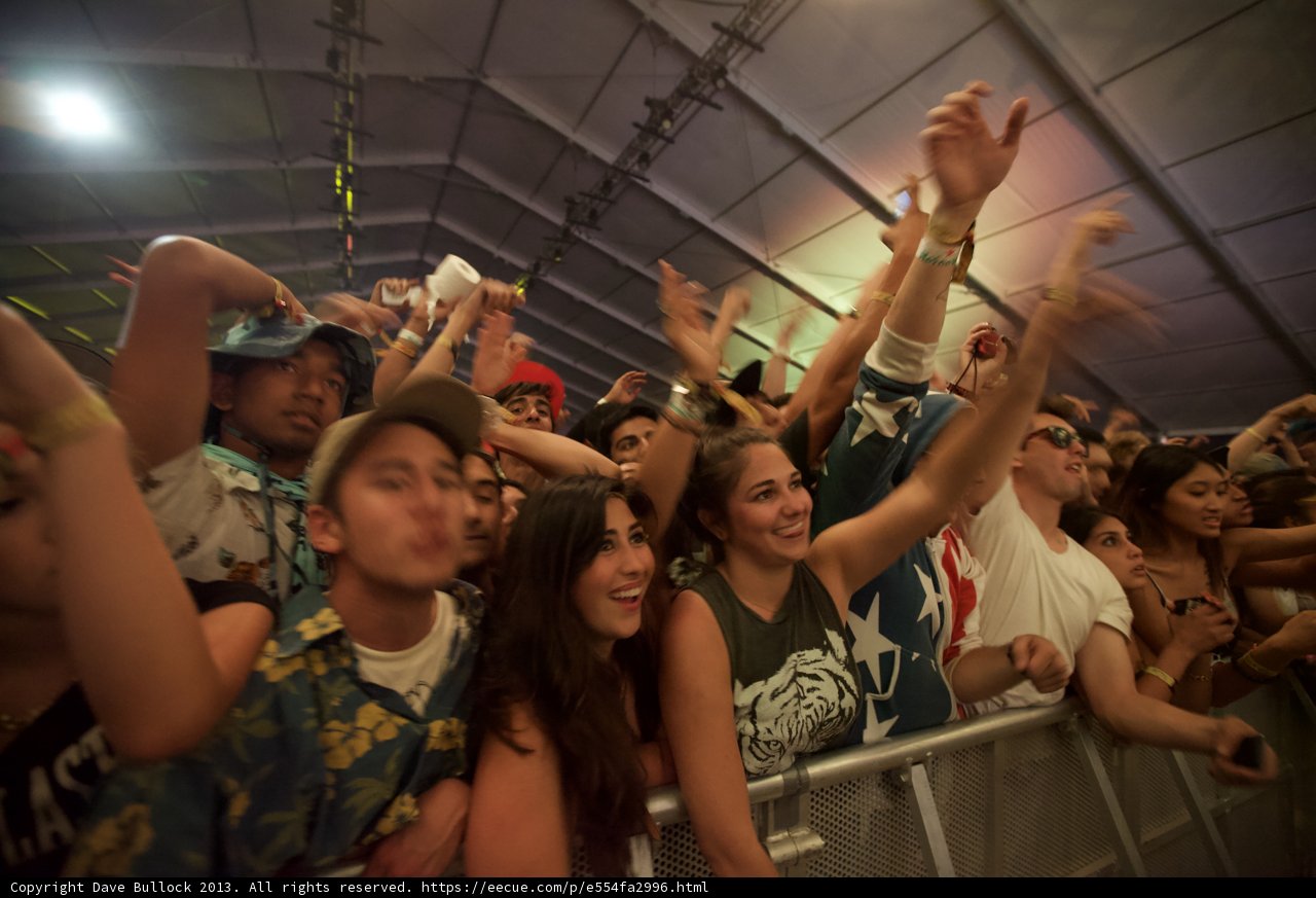 The Electric Crowd