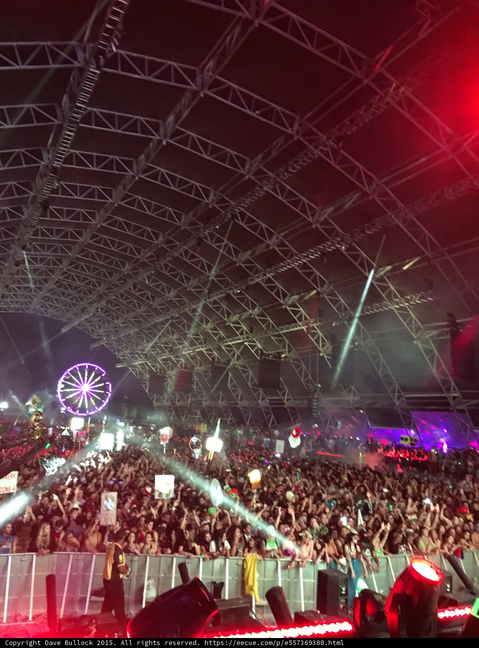Night Sky Illuminates Rock Concert Audience