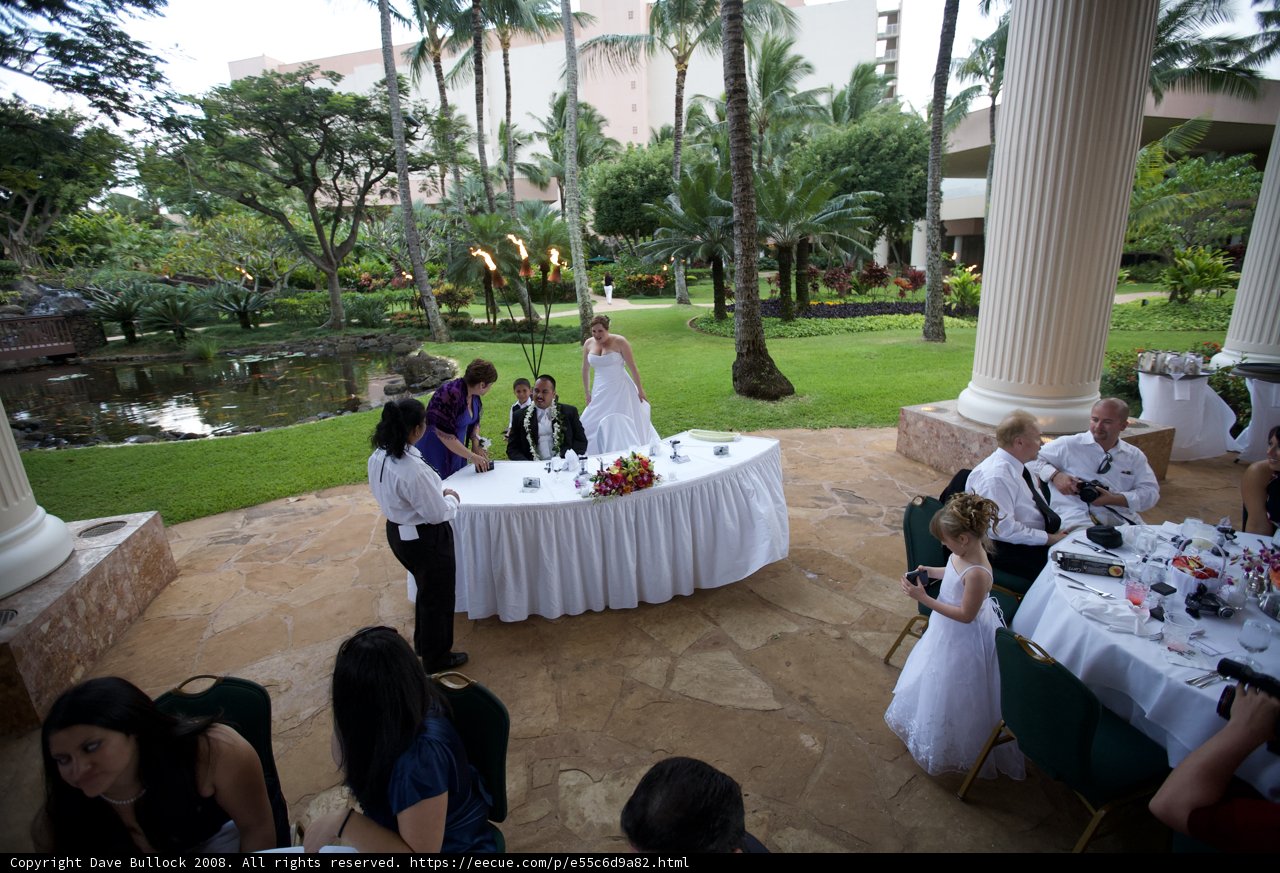 A Royal Aloha Wedding Celebration
