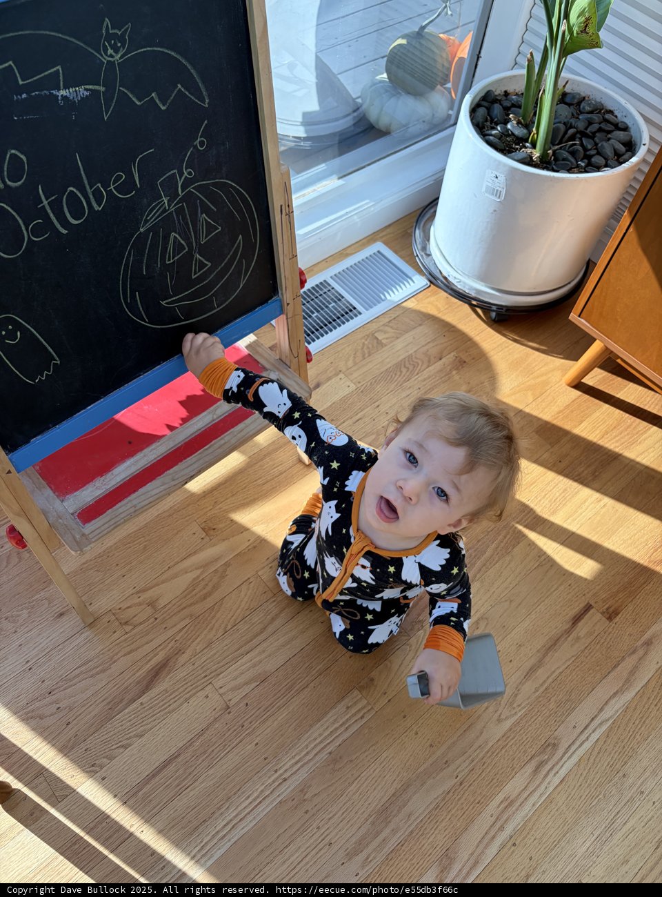 Tiny Halloween Explorer