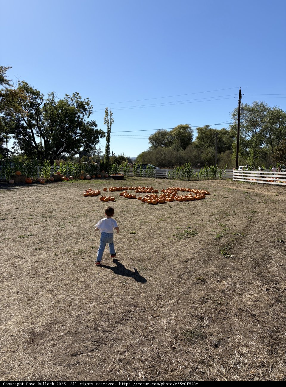 Harvest Stroll