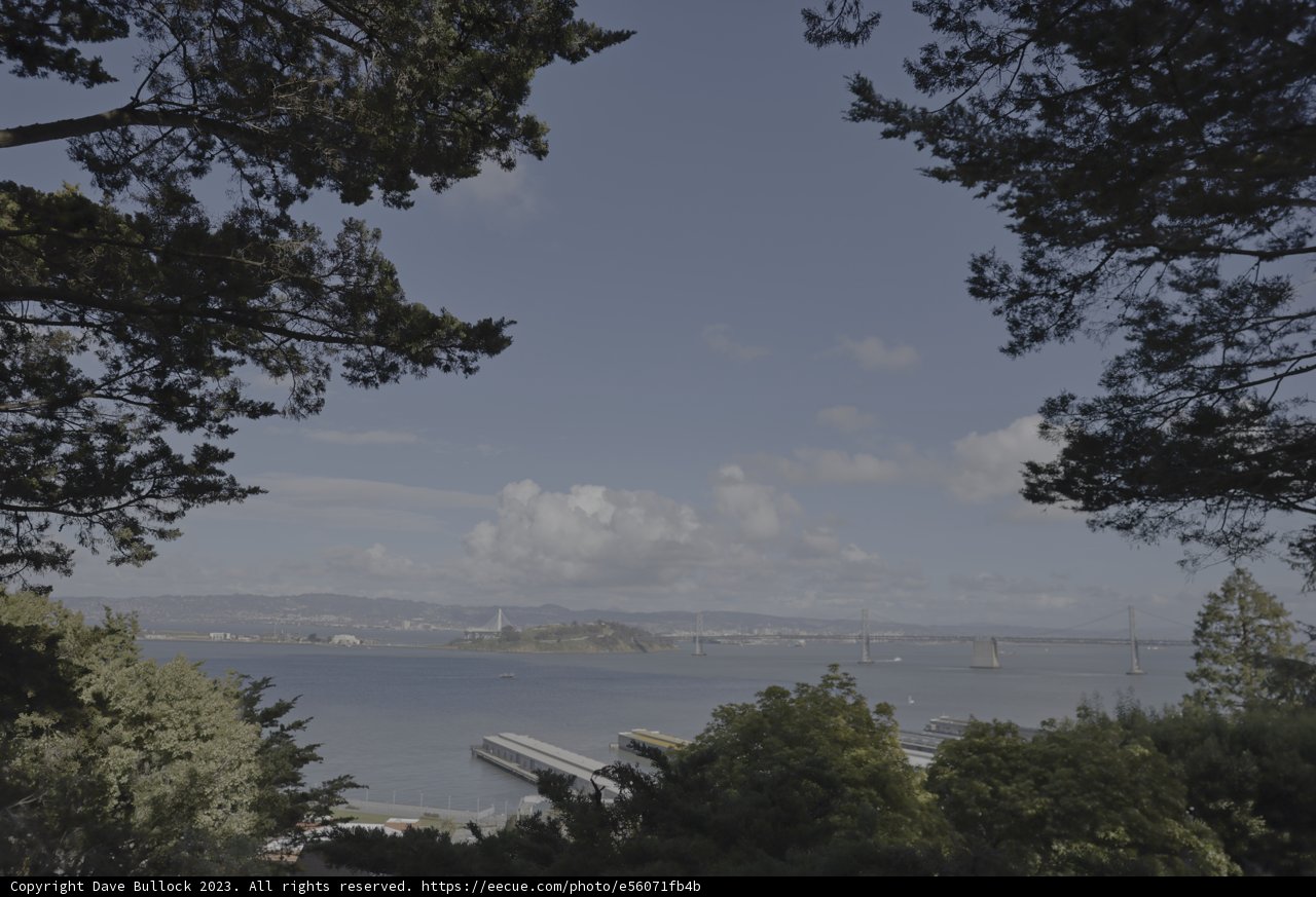 Hillside Overlooking the Majestic Bay
