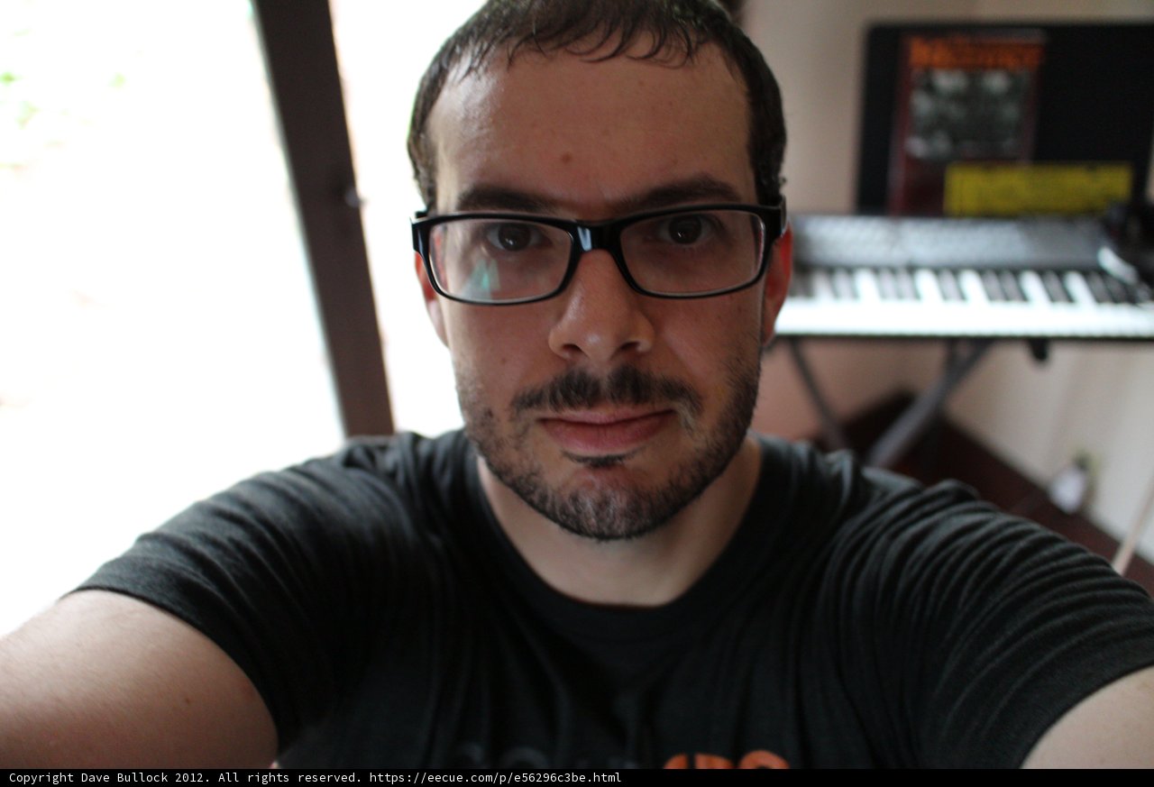 Portrait of a Musician
