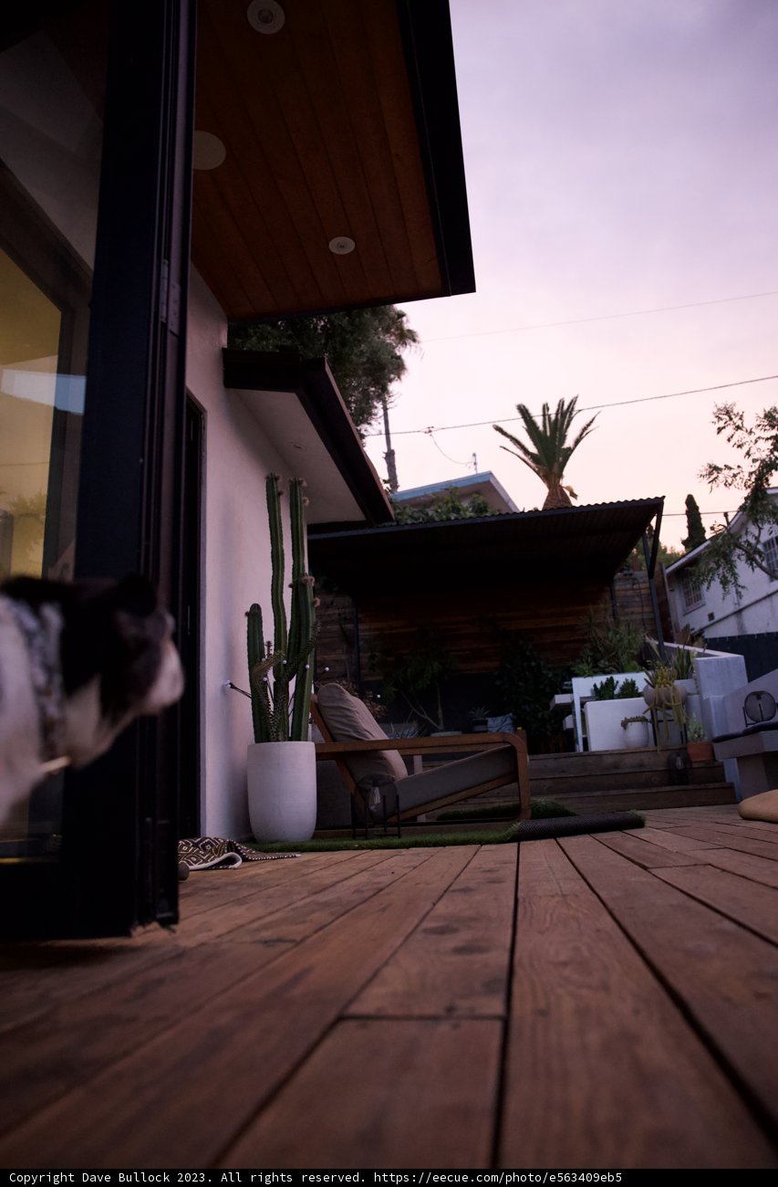 Feline Retreat