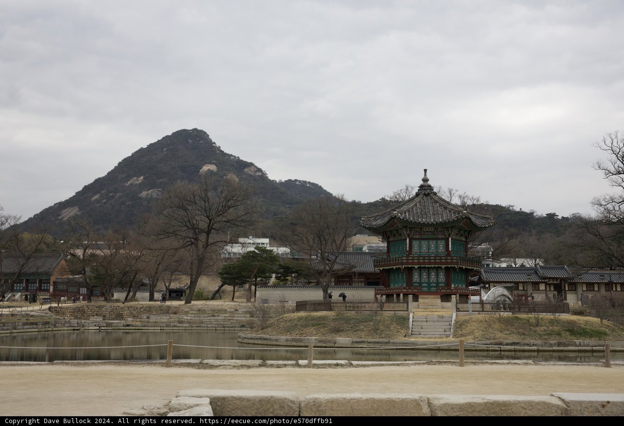 The Serenity of Korean Landscape: A Tranquil Afternoon in the Park