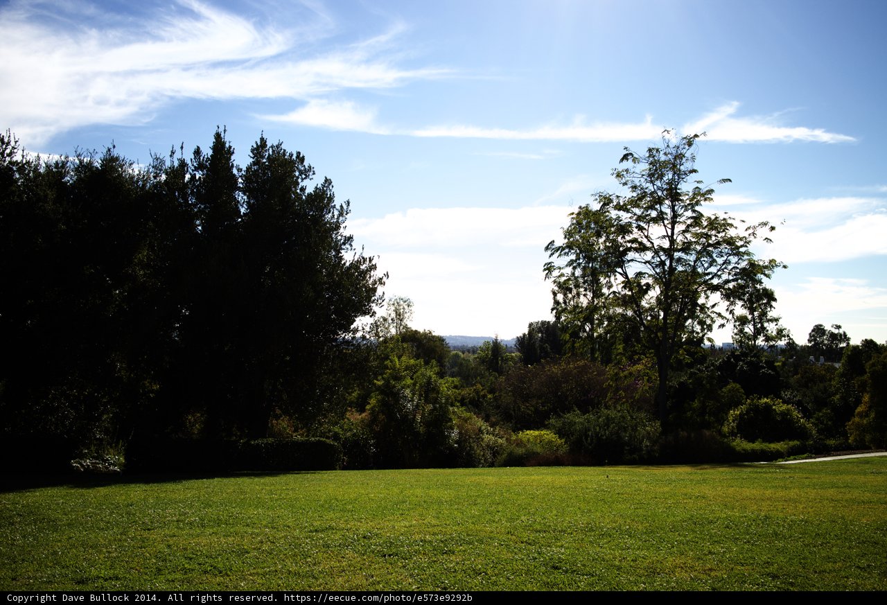 Peaceful Meadow