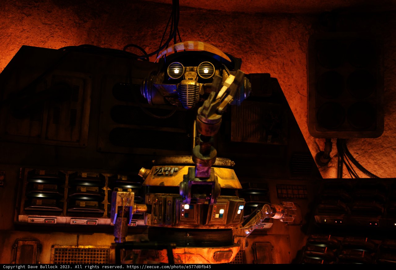 Robotic Sentinel