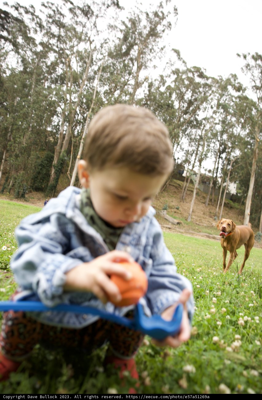 Wesley's Frisbee Frolic at Pine Lake Park