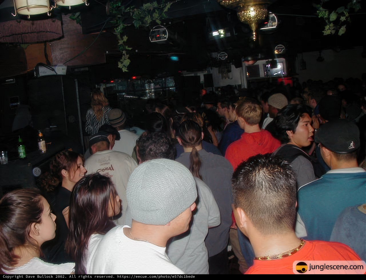Nightclub Fun with Hisashi Mizutori