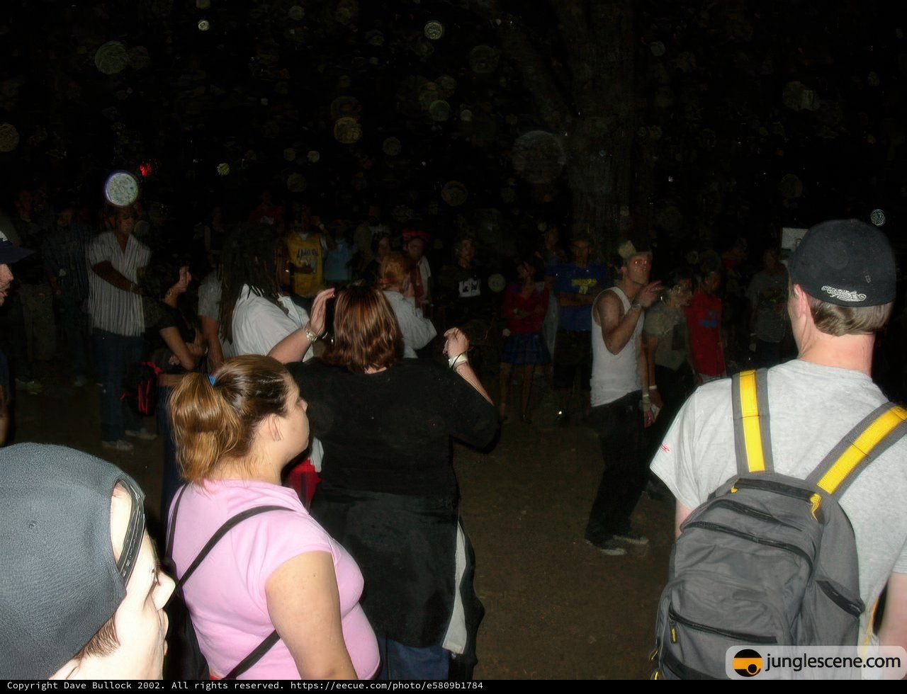 Nightlife Crowd at Club