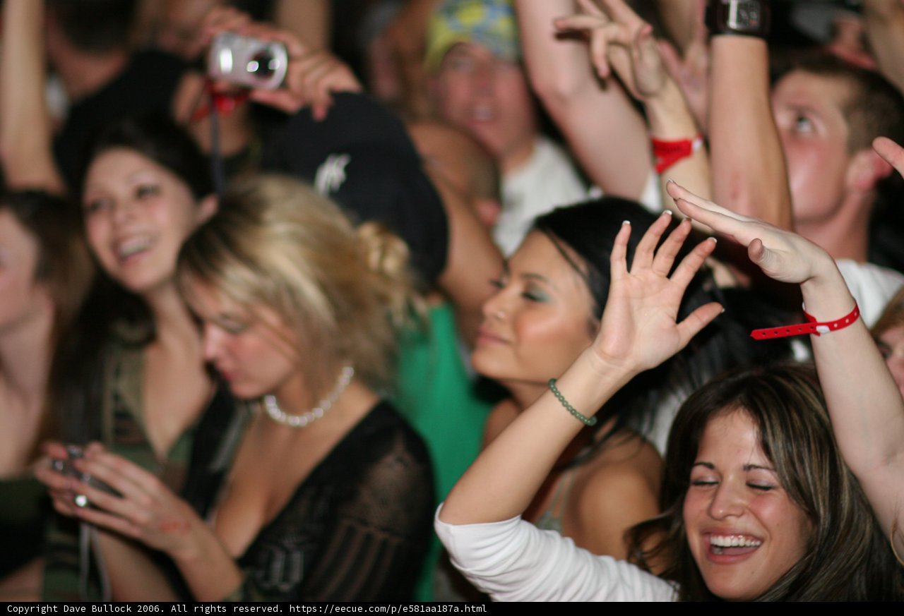 Nightclub Revelry