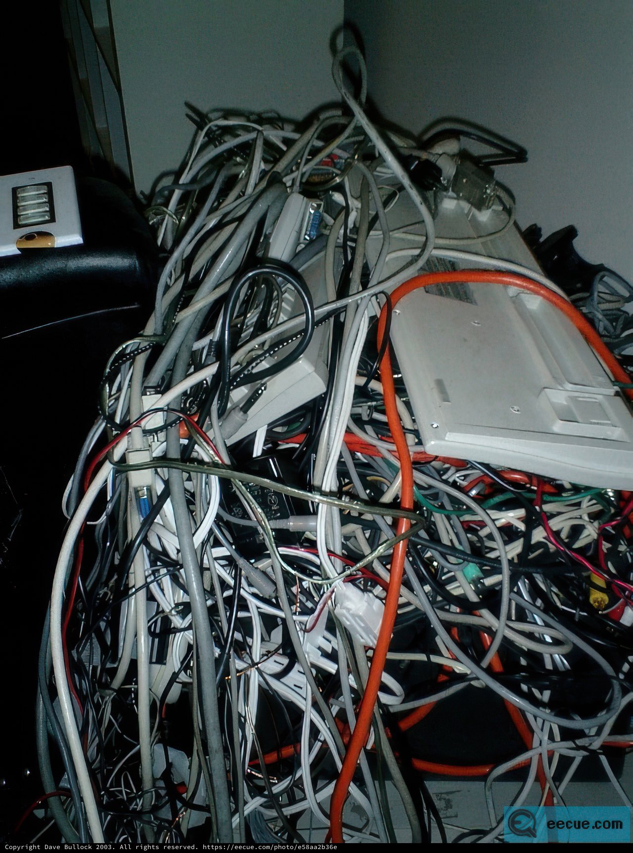 A Tangled Web