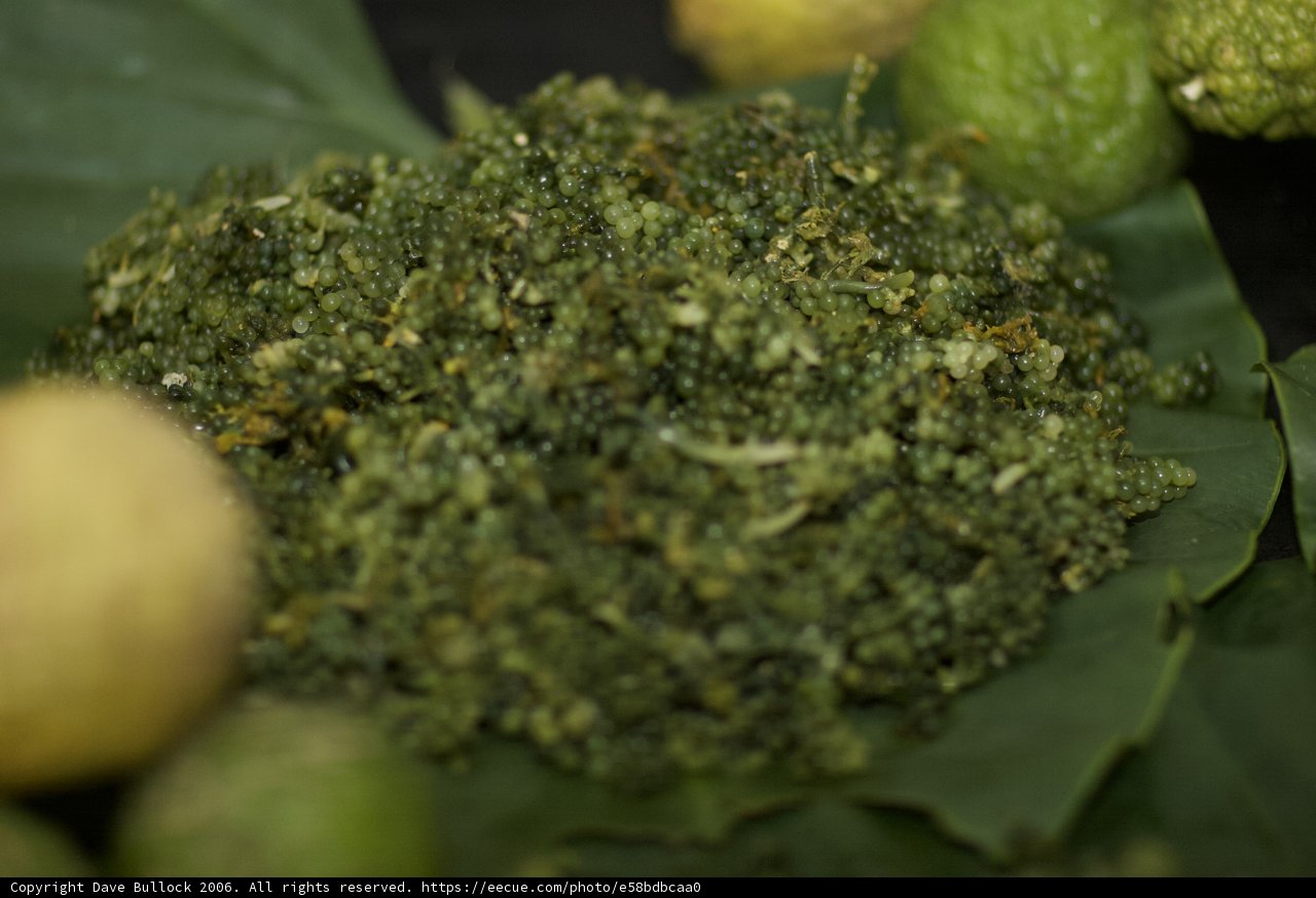 Fresh Produce on a Leaf