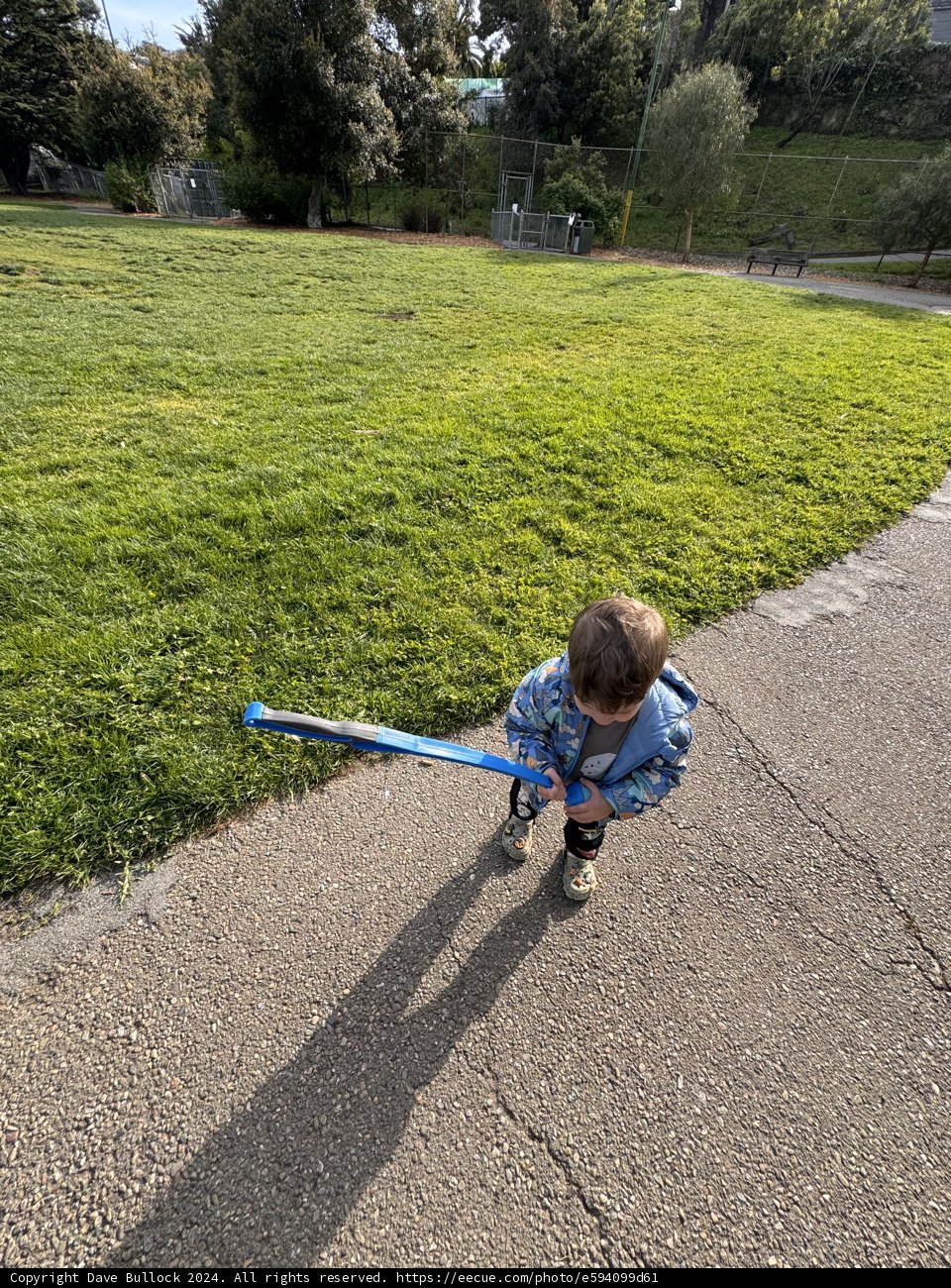 **Playful Adventures in the Park**